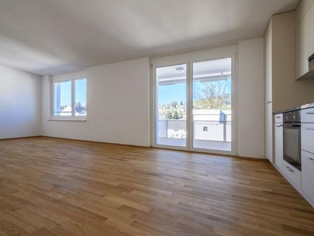 Apartment mieten in Menziken, Aargau