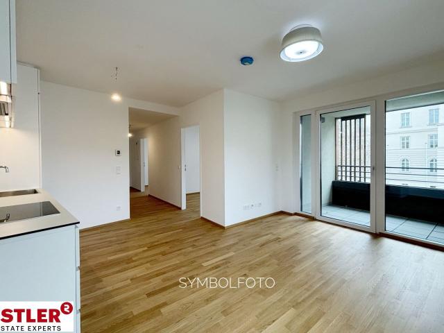 Etagenwohnung mieten in Mödling