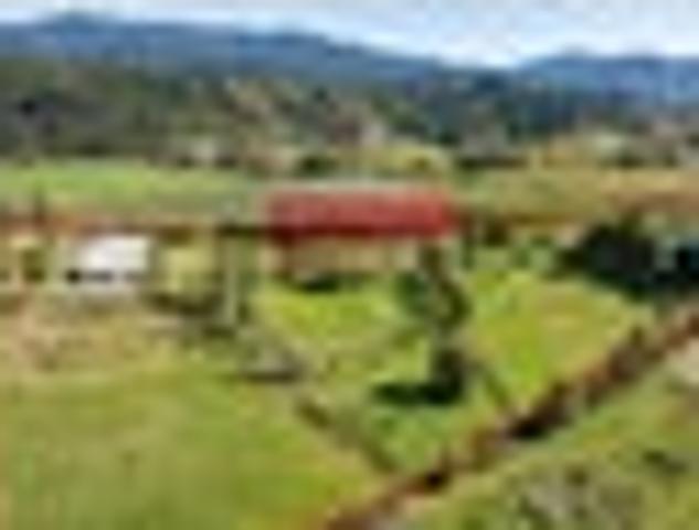 House for sale in Tasman