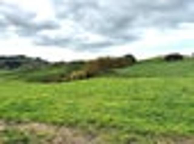 Land for sale in Putaruru, Waikato