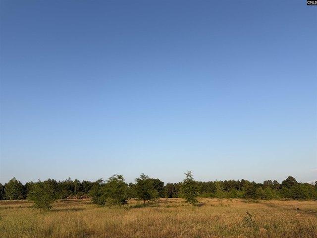 Land for sale in Pomaria, South Carolina