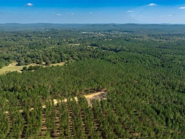 Land for sale in Lindale, Georgia