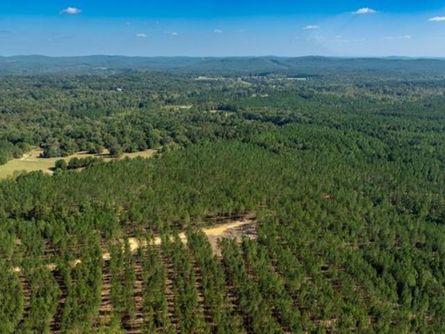 Land for sale in Lindale, Georgia