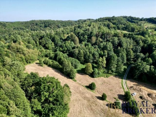 Grunt na sprzedaż w Dubiecko, Podkarpackie