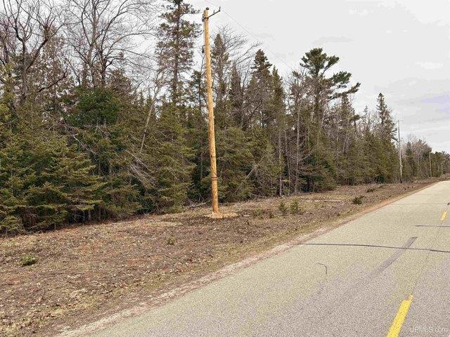 Land for sale in Nahma, Michigan