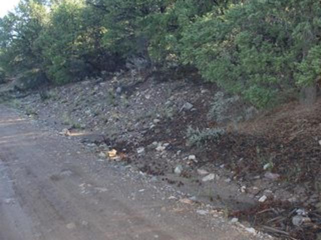 Land for sale in Questa, Taos County