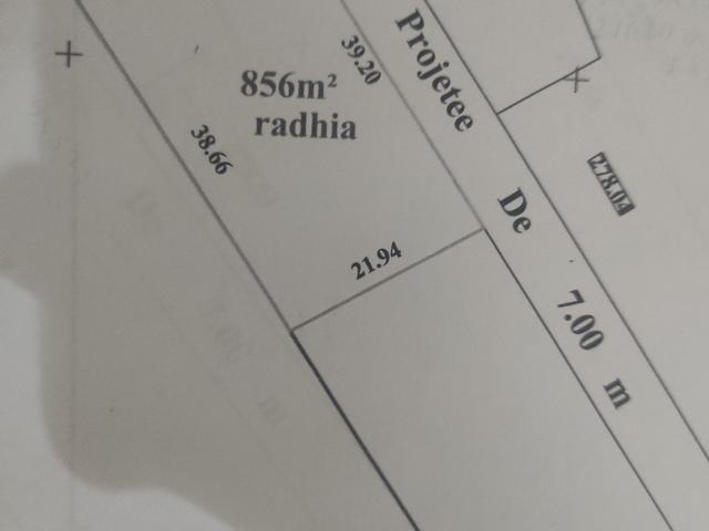 Terrain vente à Raoued