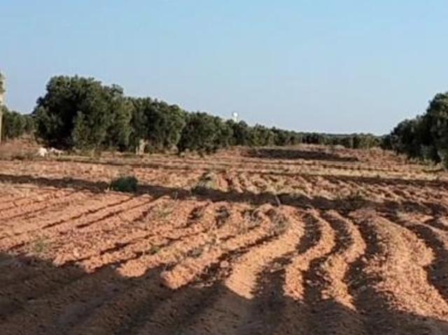 Propriété vente à Sfax, Mahras
