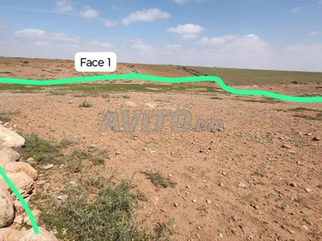 Propriété vente à Al Haouz, L'Oriental
