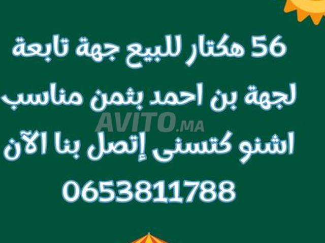 Propriété vente à Ben Ahmed, Gharb-Chrarda-Beni Hssen