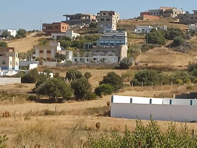 Propriété vente à El Fahs, Tanger-Tétouan