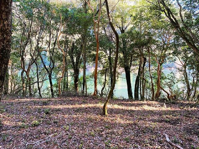 Casa en venta en Lago Ranco, Los Ríos