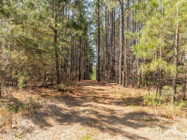 Land for sale in Appling Land for sale in Appling