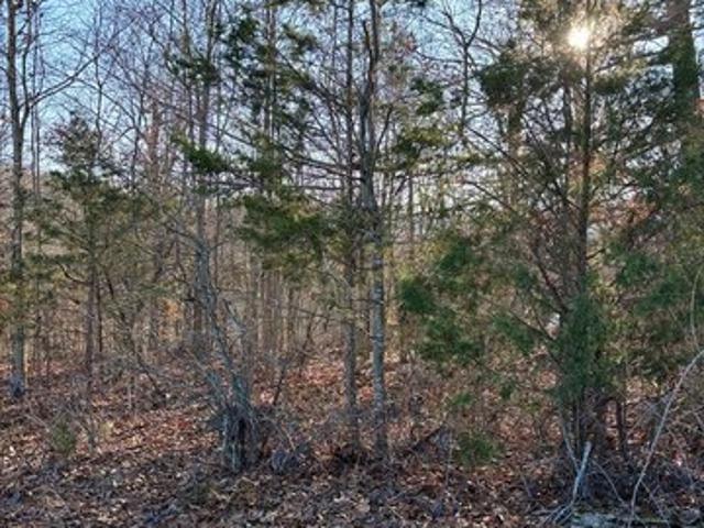 Land for sale in Tennessee