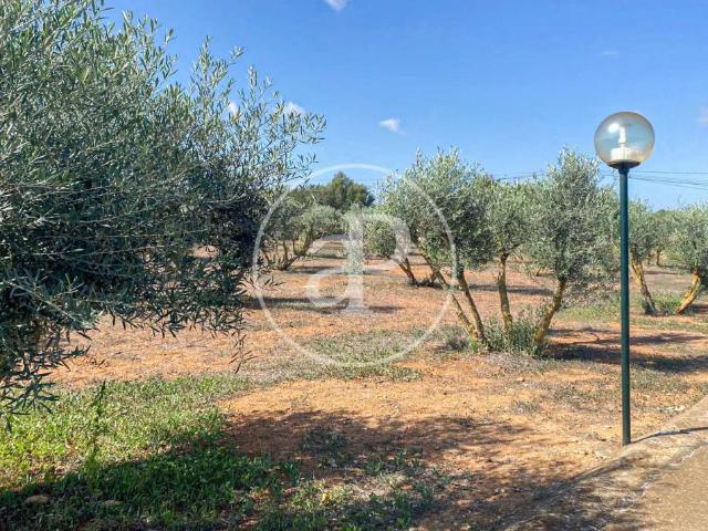 Apartamento en alquiler en Llucmajor, Migjorn