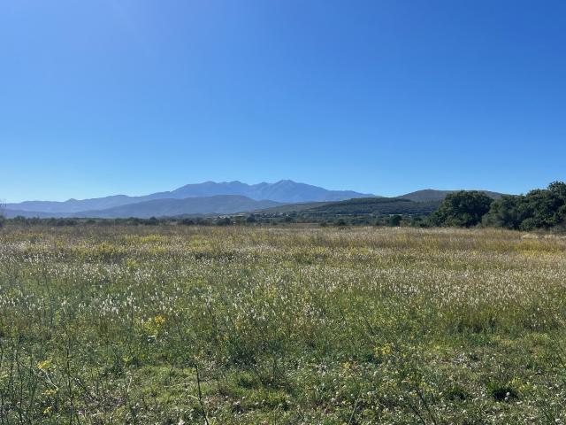 Terrain vente à Perpignan, Llupia