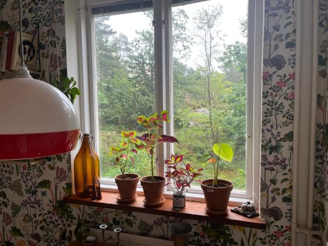 Lägenhet hyra i Stockholm, Hägersten-Liljeholmen