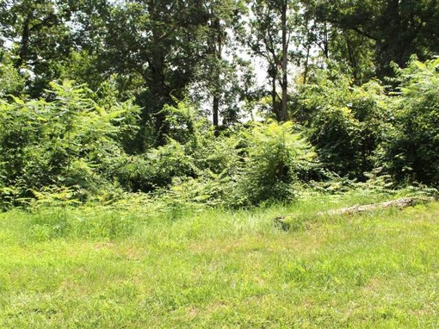 Land for sale in Fremont, Indiana