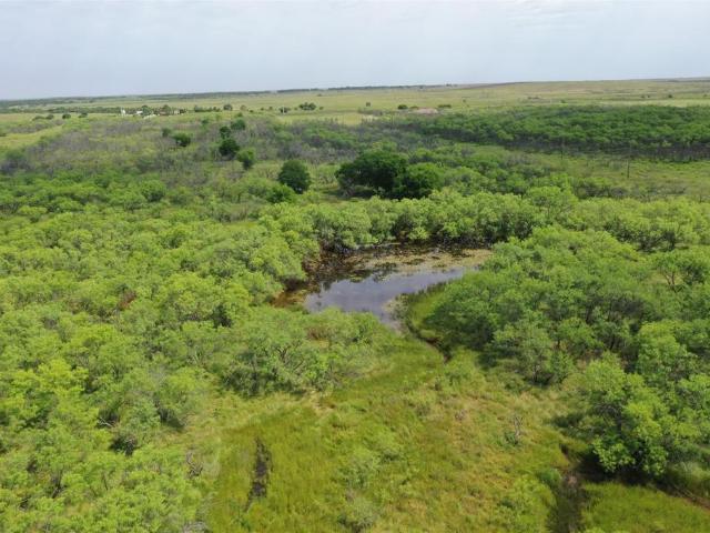 Land for sale in Clay, Texas