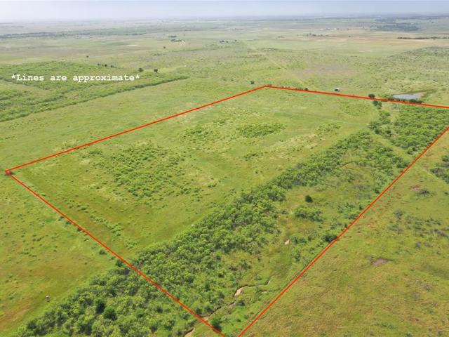 Land for sale in Clay, Texas