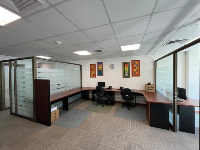 Lo Barnechea, Lo Barnechea, Dehesa Central