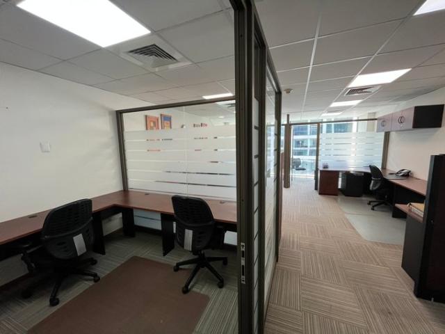 Lo Barnechea, Lo Barnechea, Dehesa Central