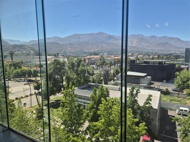 Lo Barnechea, Los cactus