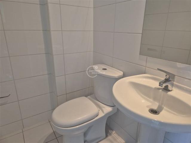 Lo Barnechea, Los cactus