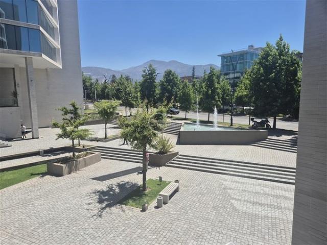 Lo Barnechea, Los cactus