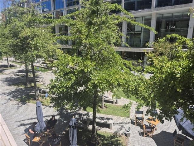 Lo Barnechea, Los cactus