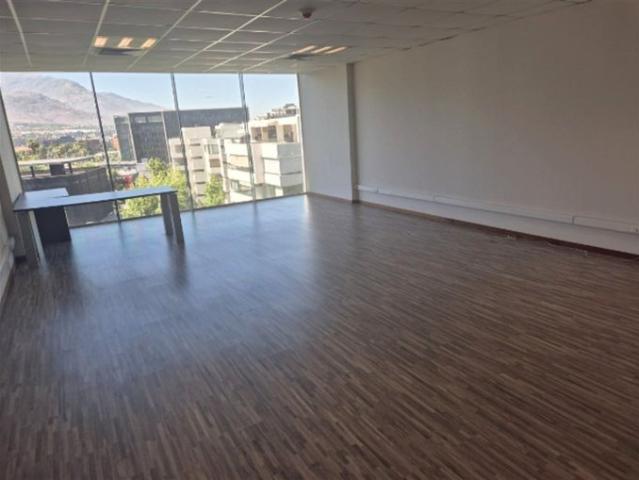 Lo Barnechea, Los cactus