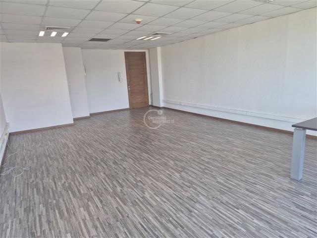 Lo Barnechea, Los cactus