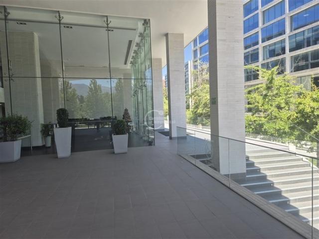 Lo Barnechea, Los cactus