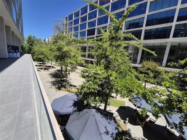 Lo Barnechea, Los cactus