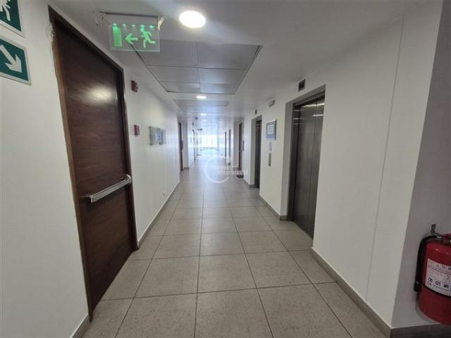 Lo Barnechea, Los cactus