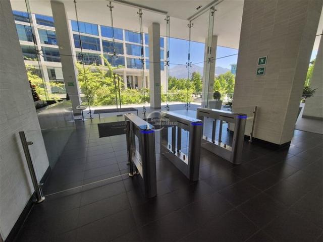 Lo Barnechea, Los cactus