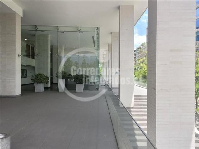 Lo Barnechea, Los cactus, la dehesa central, acepta oferta