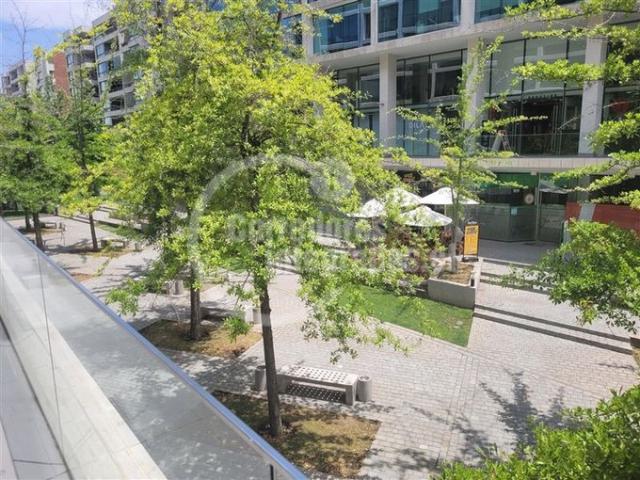 Lo Barnechea, Los cactus, la dehesa central, acepta oferta