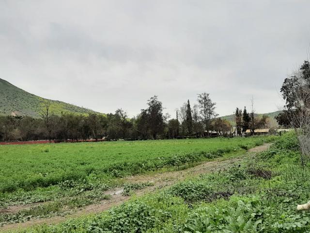 Lo Campino Quilicura/Avenida Américo Vespucio Norte Sitio Industrial Arriendo