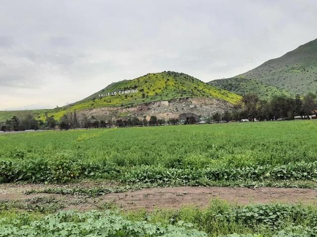 Lo Campino Quilicura/Avenida Américo Vespucio Norte Sitio Industrial Arriendo