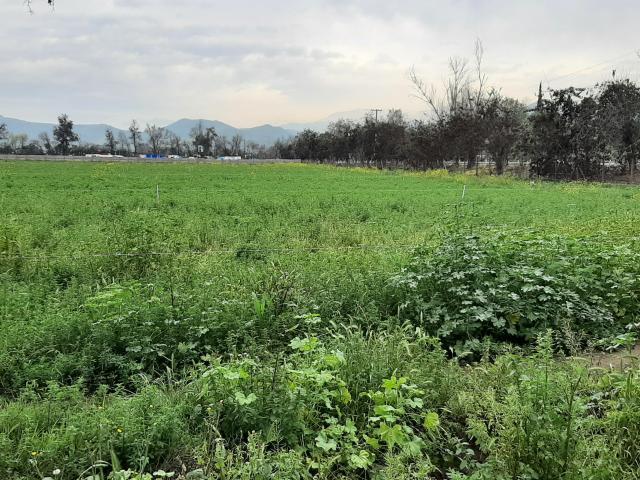 Lo Campino Quilicura/Avenida Américo Vespucio Norte Sitio Industrial Arriendo