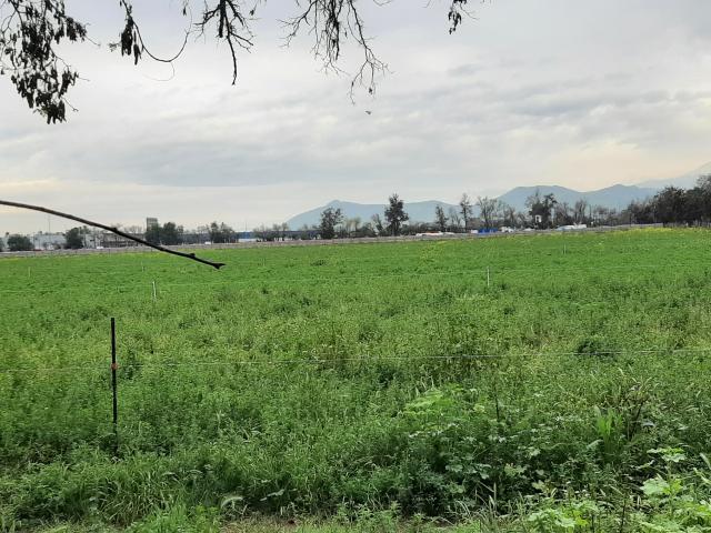 Lo Campino Quilicura/Avenida Américo Vespucio Norte Sitio Industrial Arriendo