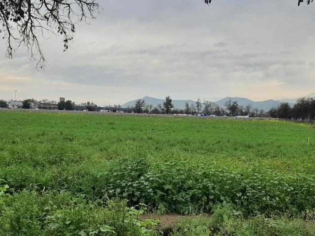 Lo Campino Quilicura/Avenida Américo Vespucio Norte Sitio Industrial Arriendo