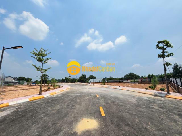 Mặt bằng bán