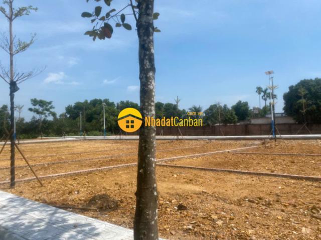 Mặt bằng bán
