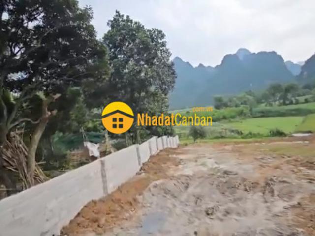 Mặt bằng bán