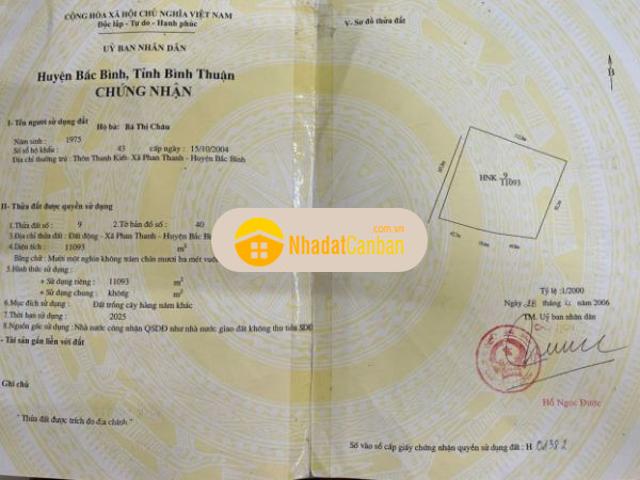 Mặt bằng bán