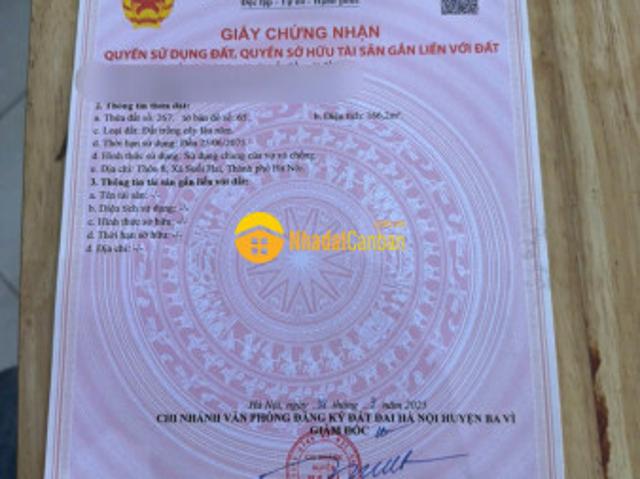 Mặt bằng bán