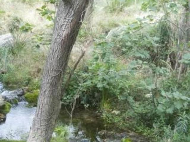 Casa en alquiler en Paüls, Tarragona