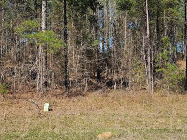 Land for sale in Hephzibah Land for sale in Hephzibah
